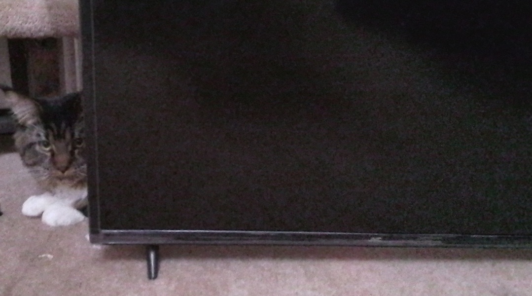 Come and tell me your dull and unexciting news 24: Calmly through the day 