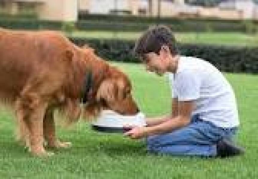10 reasons why pets are good for kids