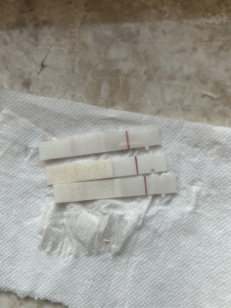 January Testers (TTC September/October🎃🍂)