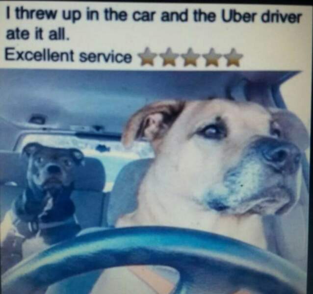 Dogs capable of sending us to hospital/the morgue need to be banned 