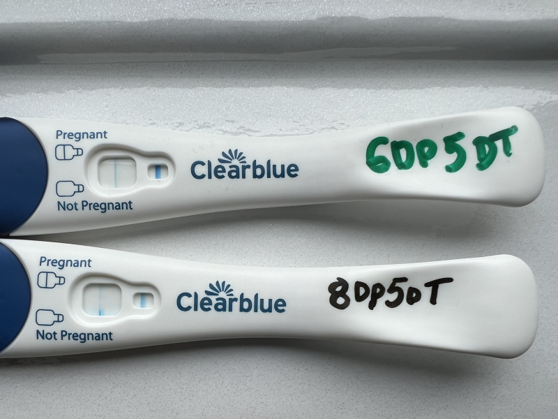 FET/IVF - January 2023