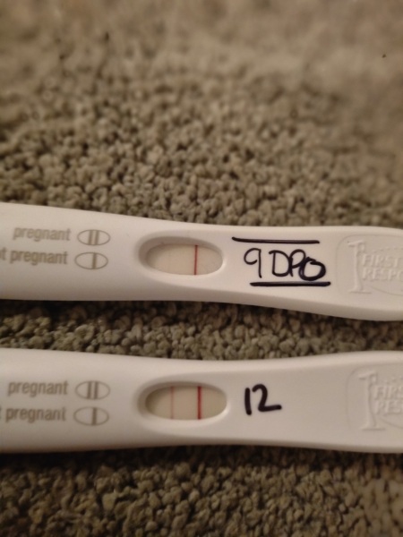 January Testers (TTC September/October🎃🍂)