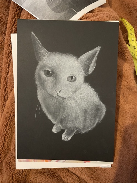 Pet portraits - brutally honest opinions needed 