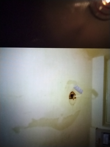 Urine coming through my ceiling 