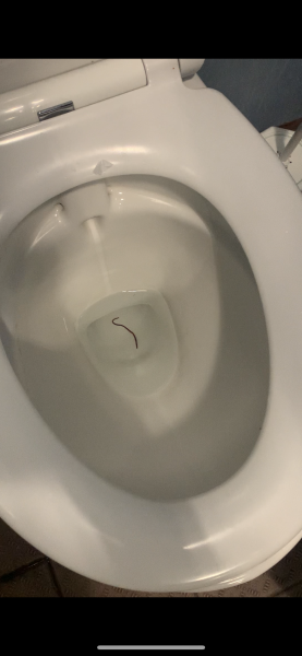 What the ACTUAL fuck