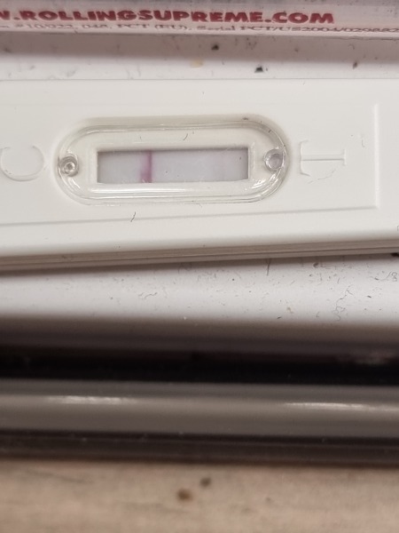 Pregnancy test