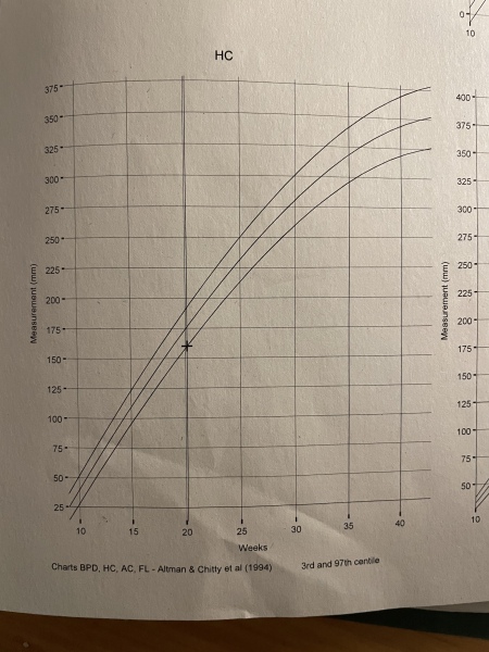 HELP! Does anyone understand this centile graph