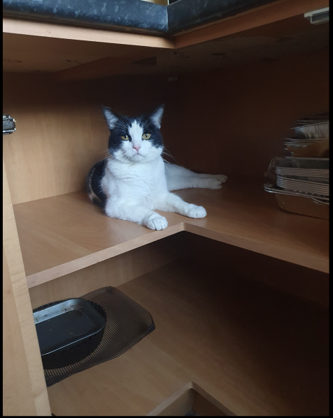 Thread 4 - TalkExiles: "The Planet Goes On Being Round"