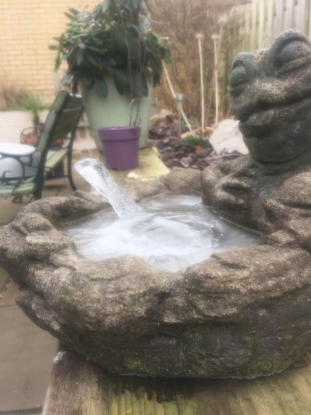 What has grown my mystery ice sculpture?