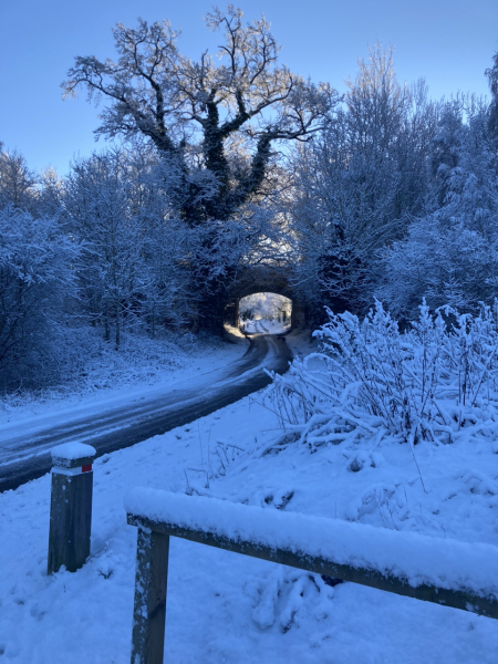 Best foot forward for 2023: a thread for walkers