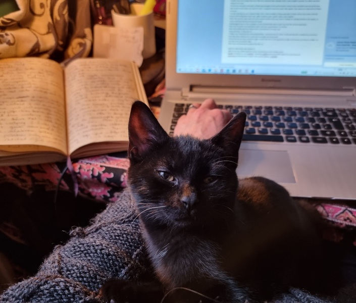 Very happy new kitten slave