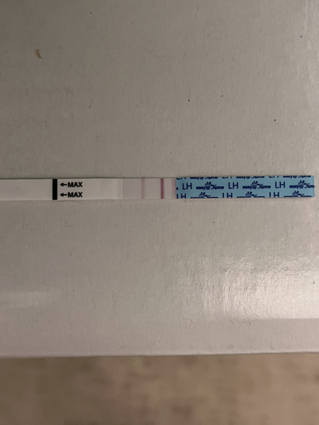 Ovulation test nightmare