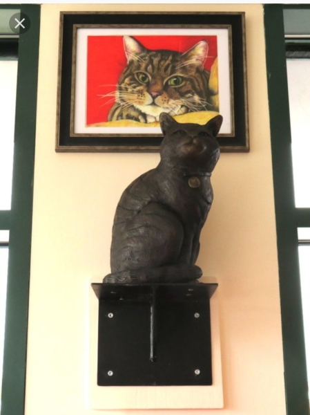 The co ap cat. Aubi to complain 