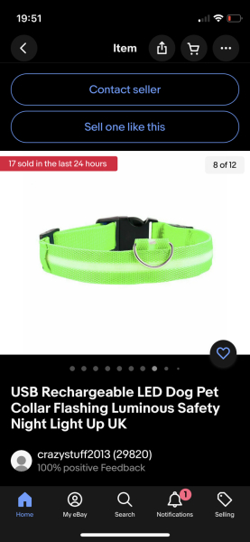 LED dog collar 