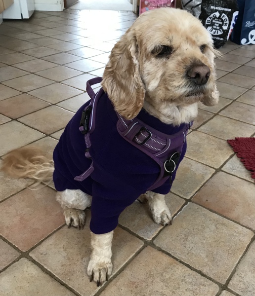 My teenage son died - AMA