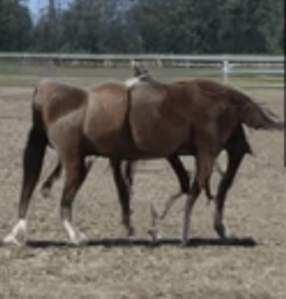 Thread 4 - TalkExiles: "The Planet Goes On Being Round"