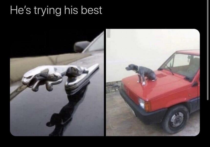 Would you be put off by a man who doesn't drive?