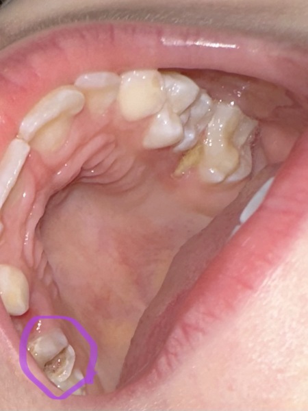 Dentist