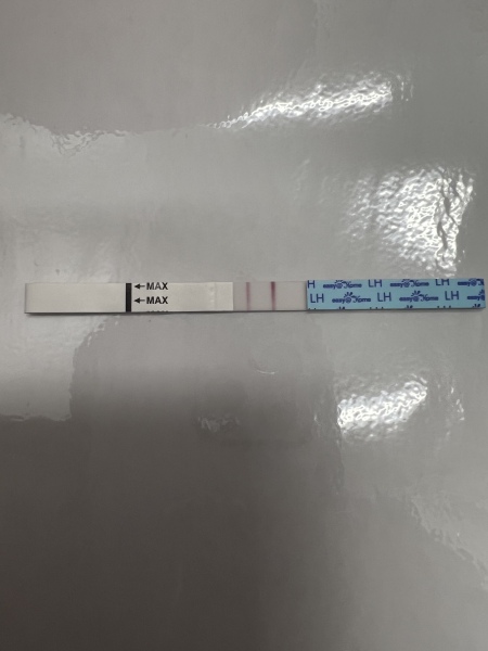 Looking for TWW buddies....