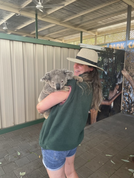 Frugal the flip to make the festivities fun