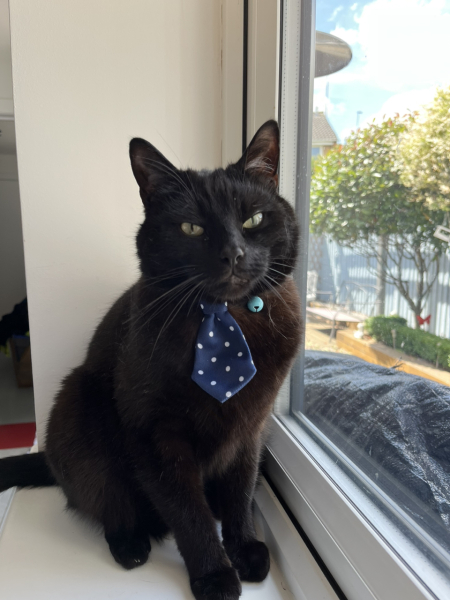 First Timers TTC. Safe space for brain dumps, questions, whinges and celebrations. Part 2!