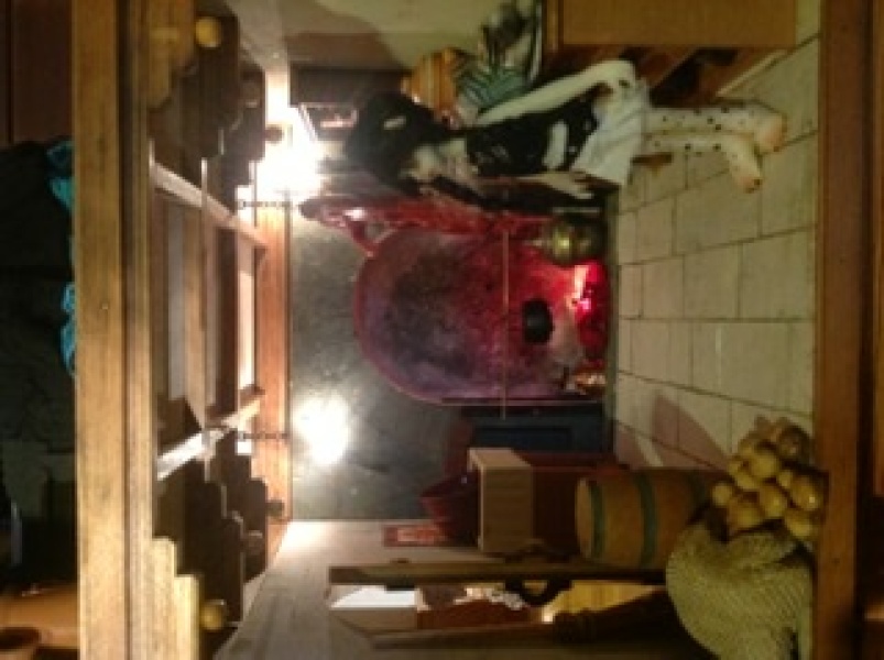 Does anyone have a dolls house? As a hobby?