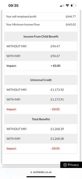 Help with minimum income floor