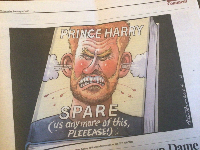 Harry alleges that Kate & Wills "encouraged him to wear Nazi uniform."