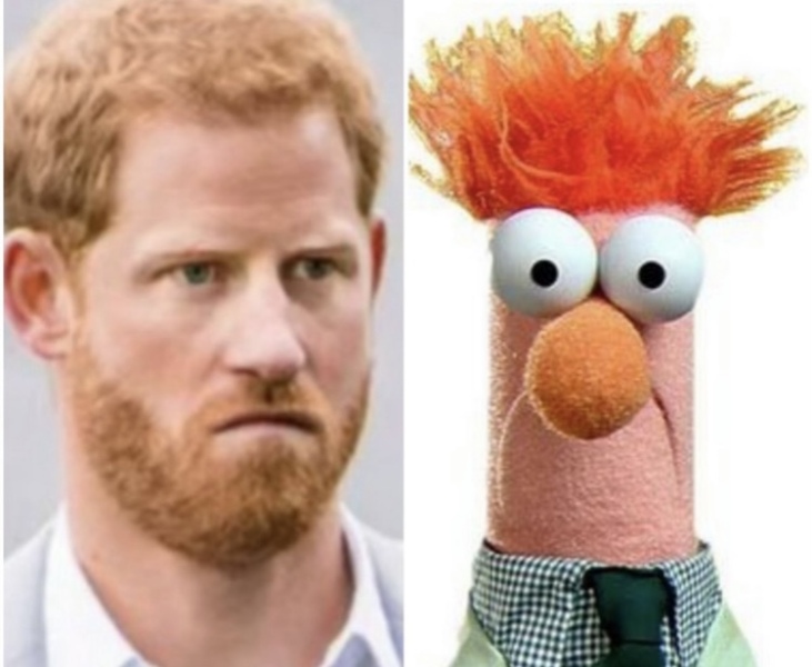 AIBU to think Harry is the most handsome male Royal?
