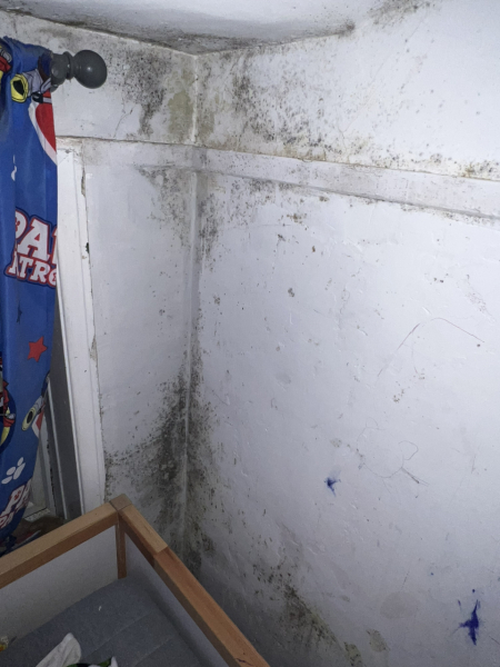 At my wits end with mould !!