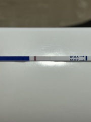 Dodgy tests/ evap/ or BFP?