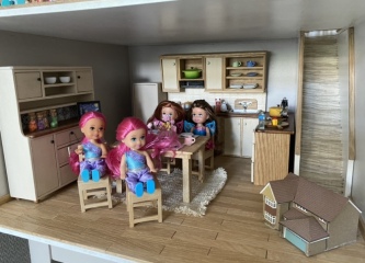 Does anyone have a dolls house? As a hobby?