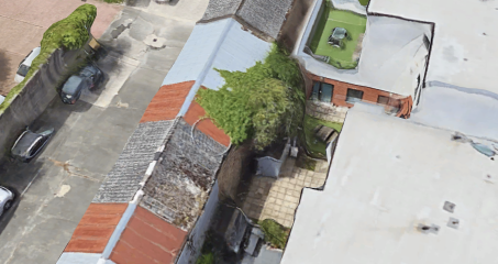 UK Rules/laws on Hedges, Ivy & Roots Growing into our Garage