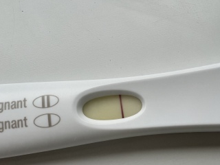 Faint FRER at 9DPO? Now BFN? Thoughts please