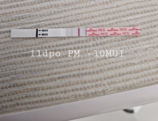 6DPO buddies please ?