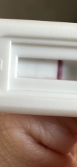 Did I miscarry?
