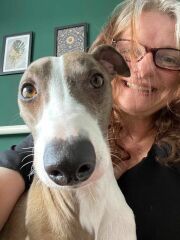 Small calm dog breeds