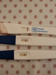FET/IVF - January 2023