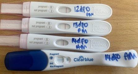 BFP getting fainter - 🌈 pregnancy