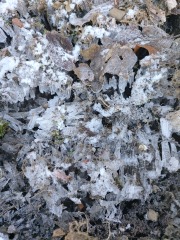 Any Witches Here?- Part 18