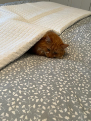 How do you dress your bed