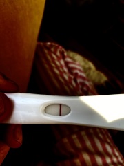 Faint lines on a FRER after miscarriage