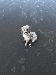 Jan 2023 Low Carb Bootcamp - Week 1!