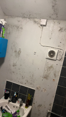 At my wits end with mould !!