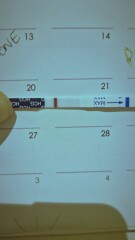 Very faint line 14 dpo
