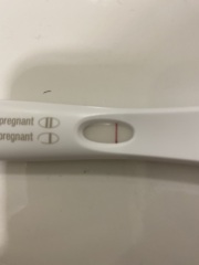 January Testers (TTC September/October🎃🍂)