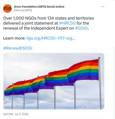 Formal complaint to the UN by LGB Alliance