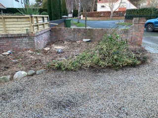 I'm having a load of cypress trees removed