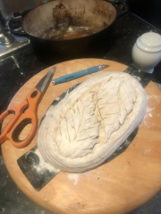 Jan '23 Low Carb Bootcamp - Week 2 - how did you get on?!