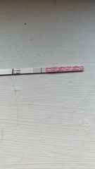 1-2 DPO time to TWW 31.10.2022